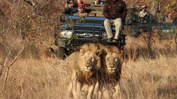 Unforgettable moments you can only have at this South African game reserve