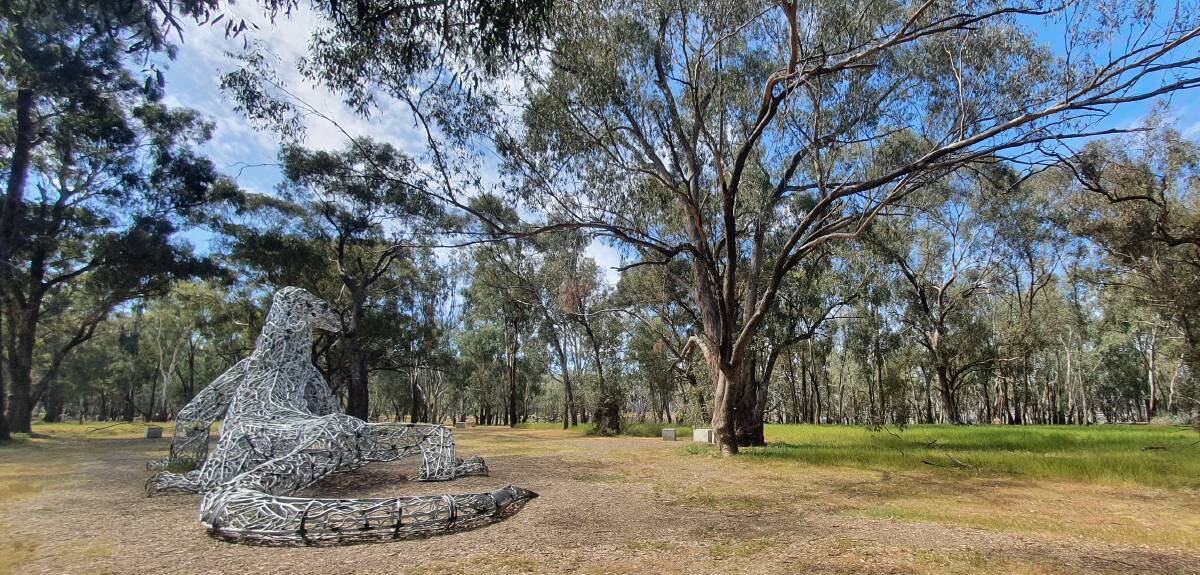 Central West Lachlan Landcare will be commencing National Bird Week Aussie Backyard Bird Count with a get together at Gum Swamp at Forbes. Picture supplied