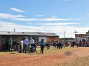 The Tullarmore Show is set to start the show season in the Parkes Shire on Friday, August 9 and Saturday, August 10.
