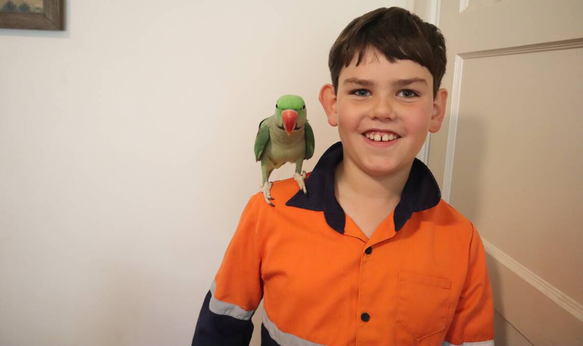 Mr Mac has made a new home on the Border family farm and a best friend in nine-year-old Samuel Border. Photo supplied